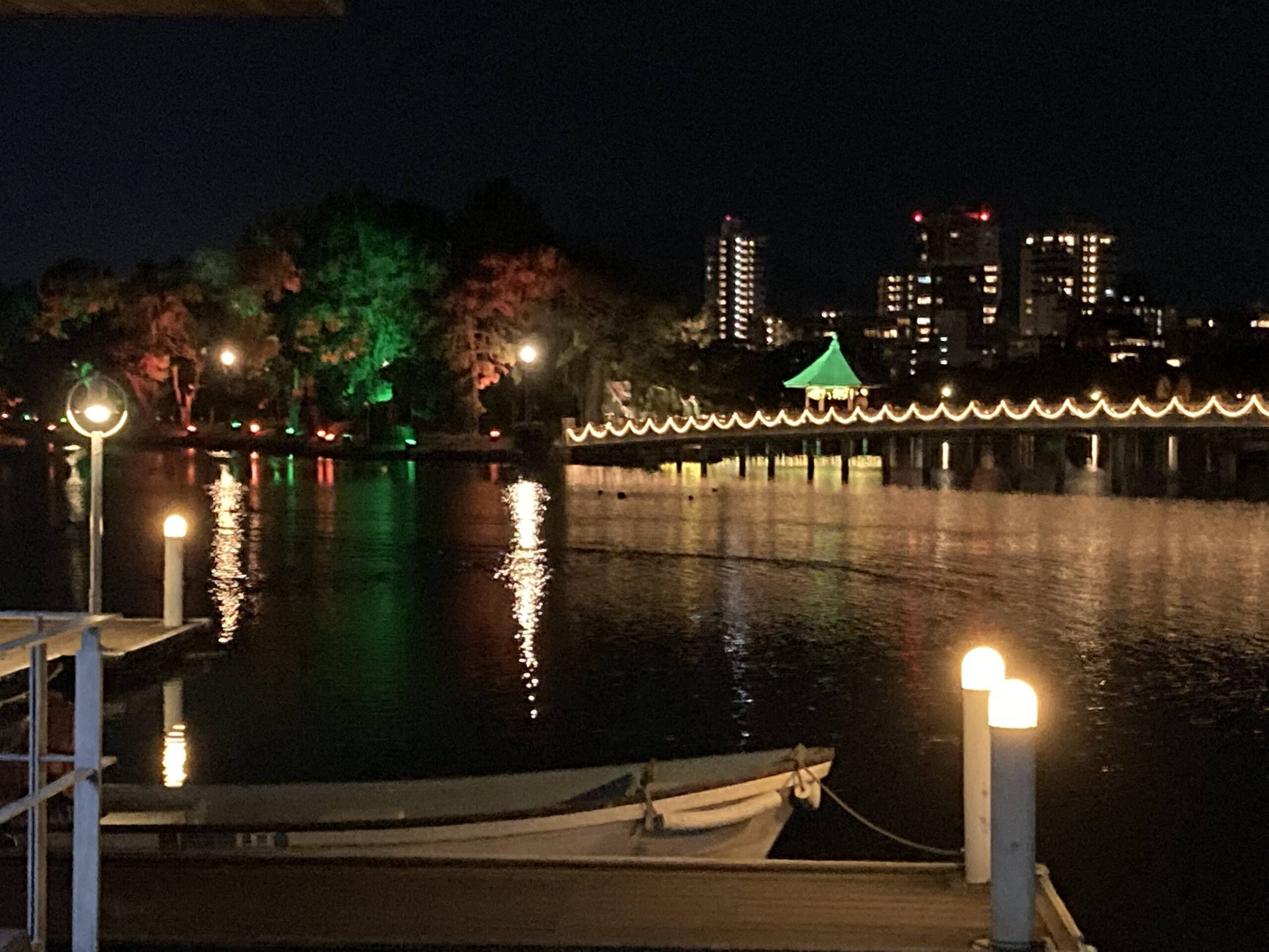 大濠公園ウインターイルミネーション